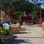 Cambria_0397 (November 01, 2013)